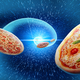Illustration for article titled A pizzaiolo explains his 4 rules of pizza toppings